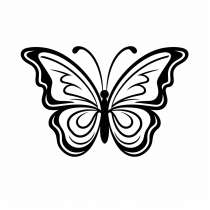 Papillon comme modèle de coloriage