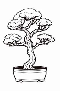 Albero bonsai come modello da colorare