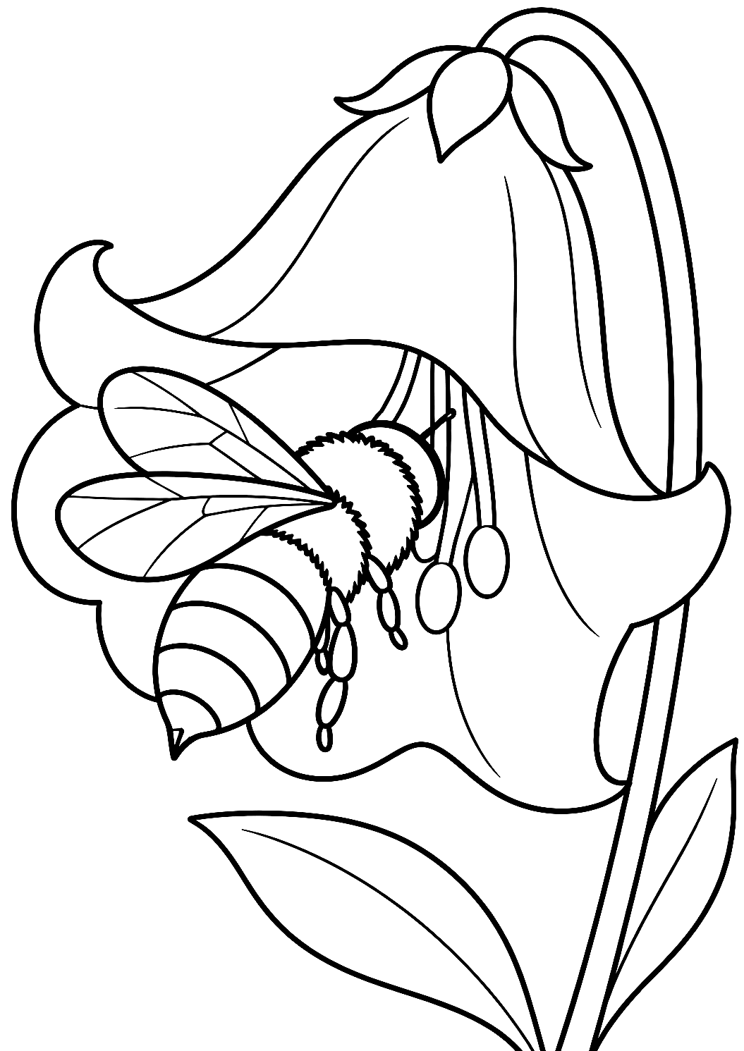 Ape che beve nettare da una campanula da colorare – disegno da colorare da stampare