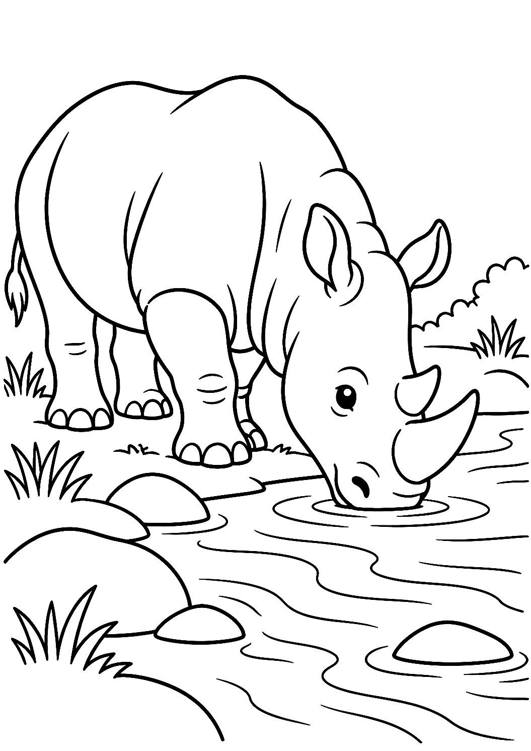 Nashorn beim Trinken aus einem Fluss als Malvorlage – Ausmalbild zum Ausdrucken