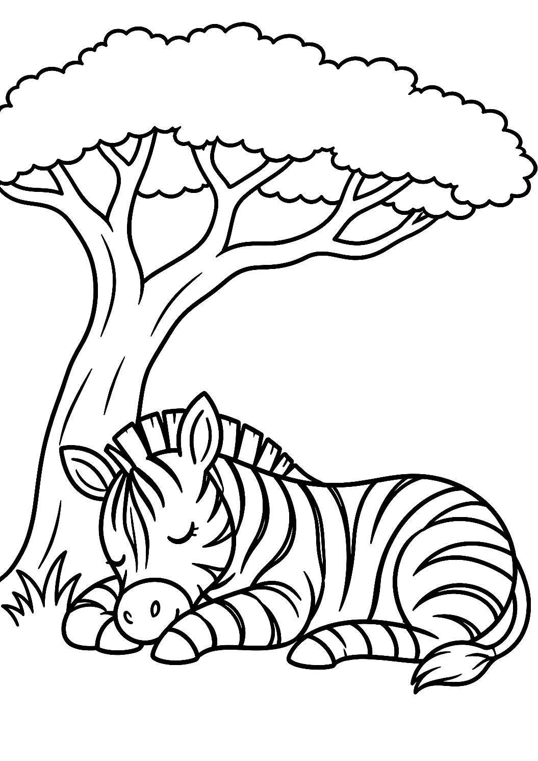 Zebra schläft unter einem Akazienbaum als Malvorlage – Ausmalbild zum Ausdrucken