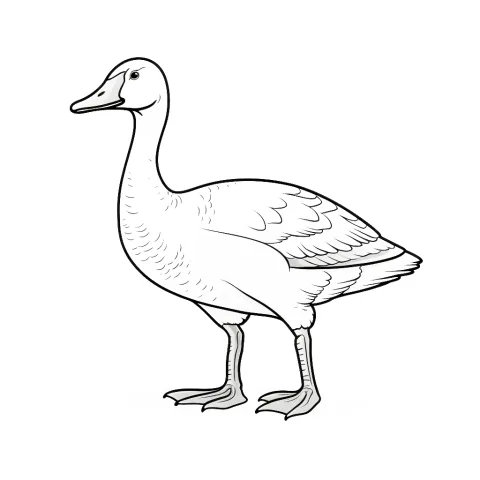Gänse als Malvorlage – Ausmalbild zum Ausdrucken