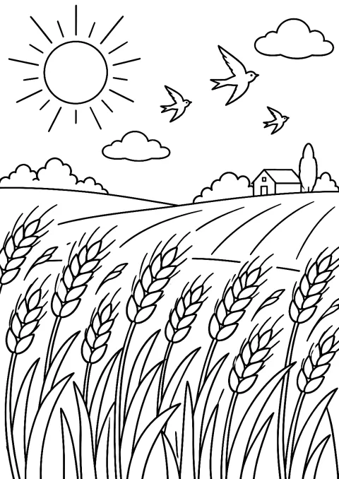 Sonnenschein über dem Kornfeld als Malvorlage – Ausmalbild zum Ausdrucken