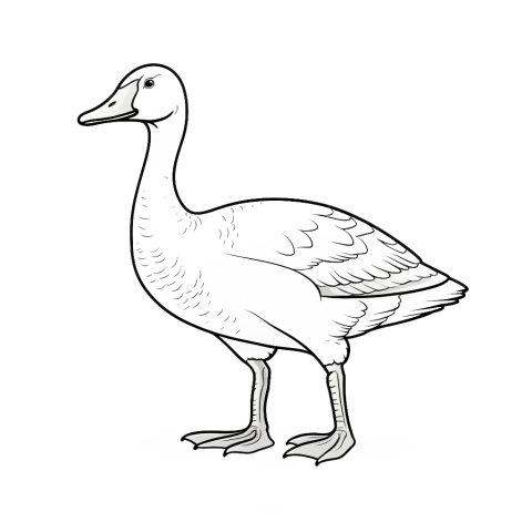 Gänse als Malvorlage – Ausmalbild zum Ausdrucken