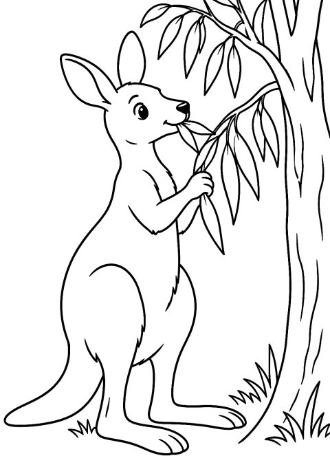 Canguro che mangia foglie di eucalipto da colorare – disegno da colorare da stampare