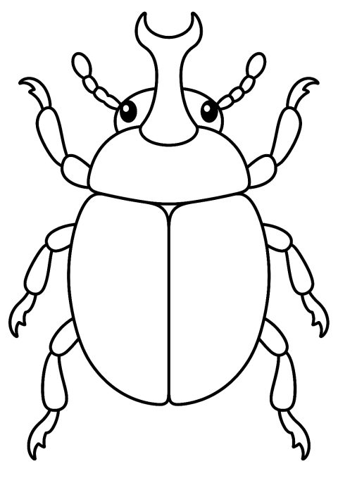 Käfer als Malvorlage – Ausmalbild zum Ausdrucken