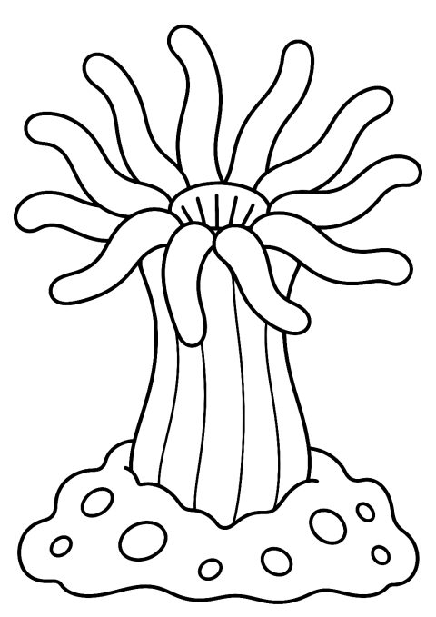 Pólipo de coral para colorear – dibujo para colorear e imprimir