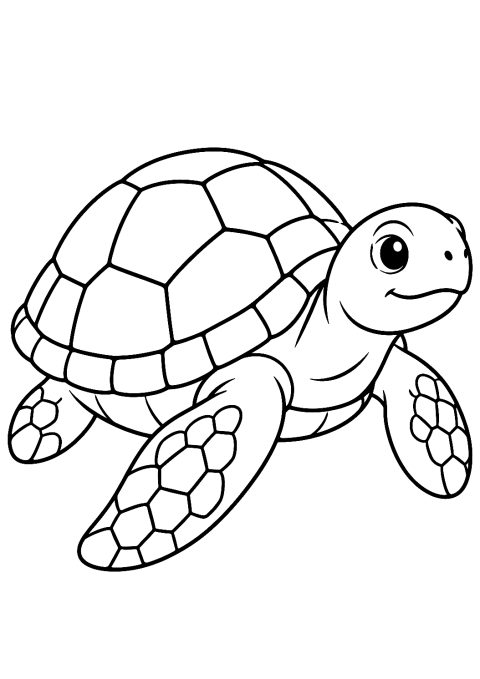 Tartaruga Realista para Colorir – desenho para colorir para imprimir
