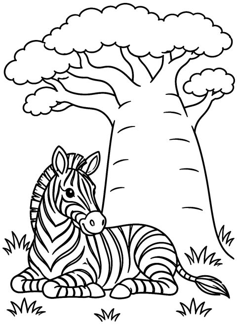 Zebra under ett baobabträd som målarbild – målarbild att skriva ut