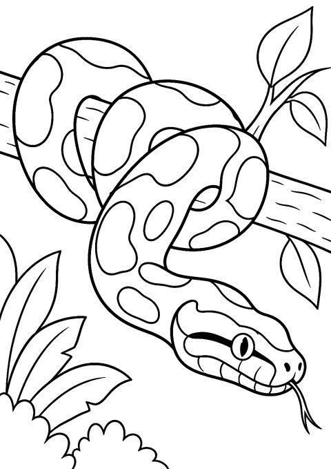 Boa Constrictor Coloring Page – printable coloring page