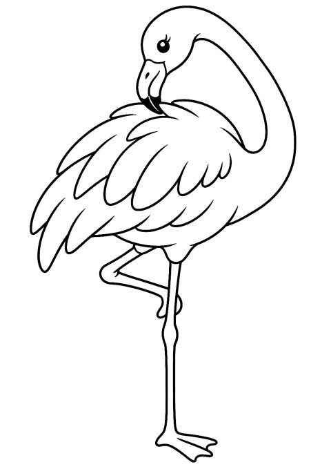 Flamingo putzt sein Gefieder als Malvorlage – Ausmalbild zum Ausdrucken