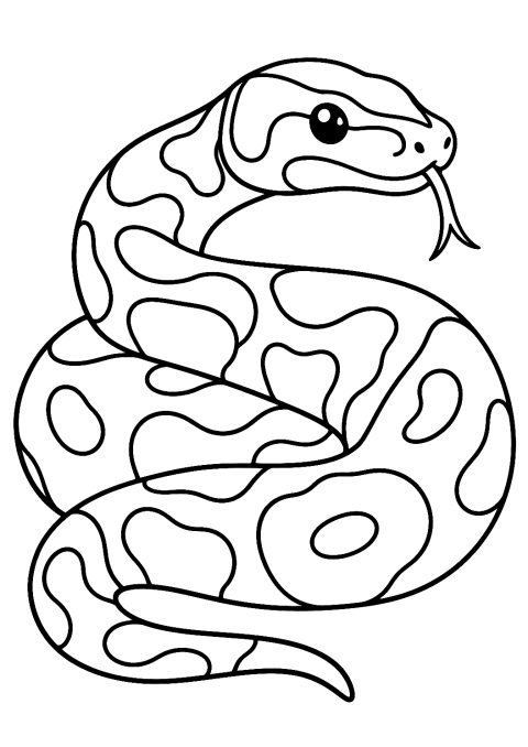 Kongepython som farvelægningsside – malebog til udskrivning
