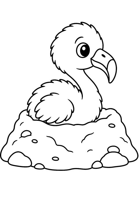 Baby-Flamingo im Nest als Malvorlage – Ausmalbild zum Ausdrucken