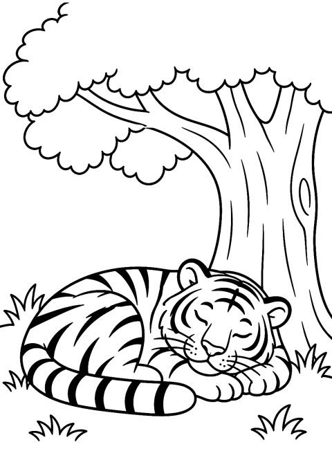 Sovande tiger under ett träd som målarbild – målarbild att skriva ut