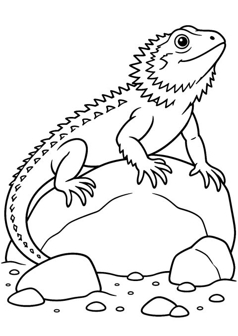 Lagarto del desierto sobre una roca para colorear – dibujo para colorear e imprimir