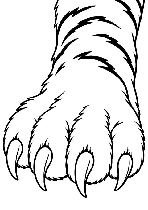 Tigerpote i detalj som fargeleggingsark – fargeleggingsark for utskrift