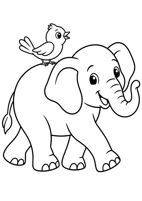 Olifant met vogel op zijn rug als kleurplaat – kleurplaat om af te drukken