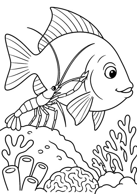 リーフステーションで魚をお掃除するエビのぬりえ – 印刷用ぬりえ