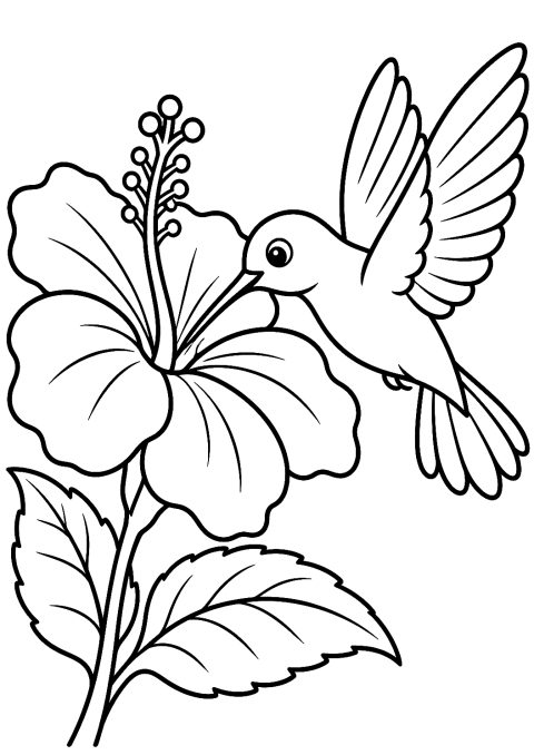 Kolibri trinkt Nektar aus einer Blüte als Malvorlage – Ausmalbild zum Ausdrucken
